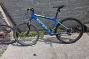 Carrera bike