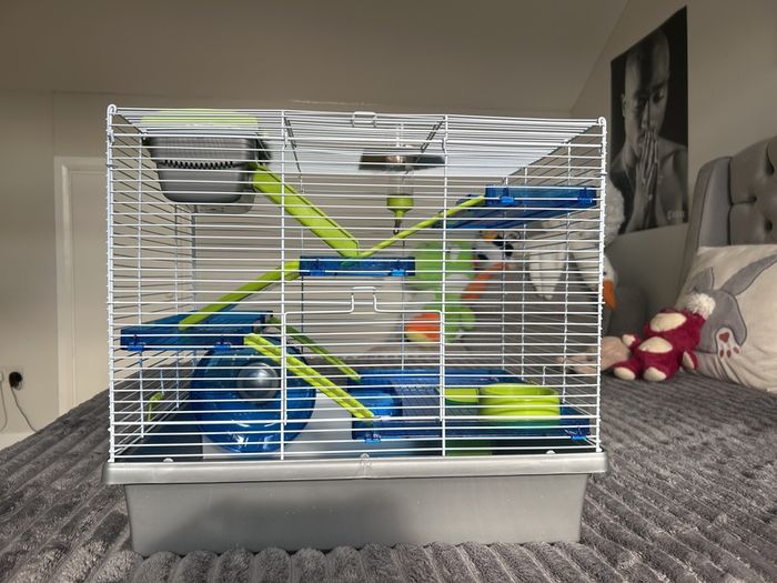 hamster cage