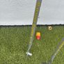 balance buddy Image 2