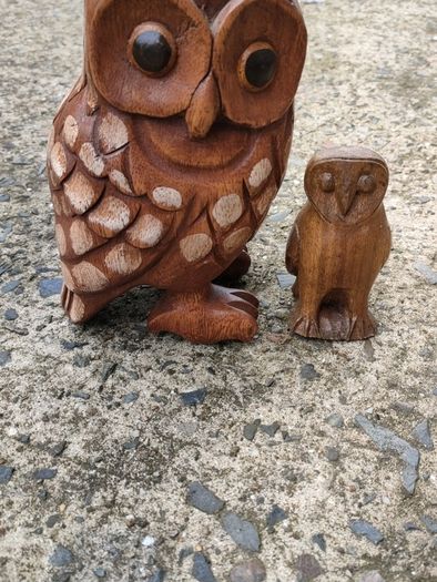 Hardwood carved Tawny owls