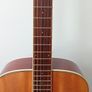 Sire R3 Series, Electro acoustic, Zebra electrics Image 3