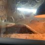 Vivarium bundle Image 2