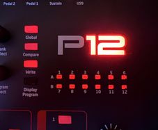 Dave Smith Prophet 12 Desktop