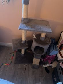 cat tree