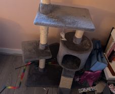 cat tree