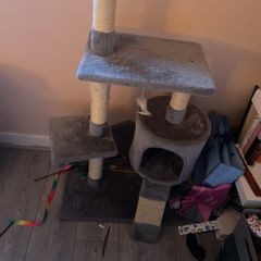 cat tree