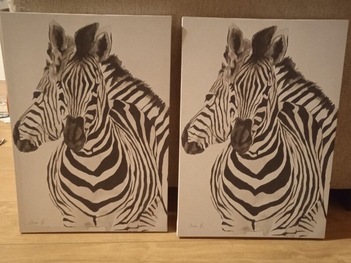 canvas prints