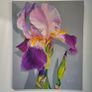Violet Iris | Oil Painting on canvas Image 5