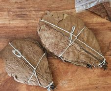 Indian almond leaves (catappa leaves)