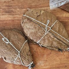 Indian almond leaves (catappa leaves)