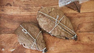 Indian almond leaves (catappa leaves)