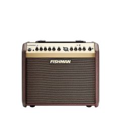 Fishman portable amplifier