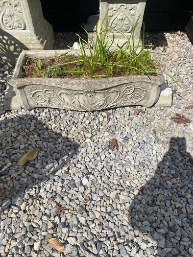 outdoor garden
