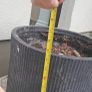 planter Image 3