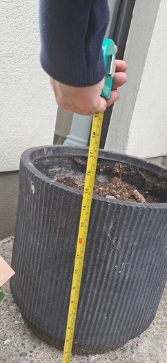 planter
