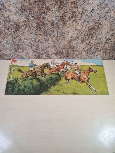 TUCKS ZAG ZAW JIGSAW PUZZLE -THE FAVOURITE LEADS - 520 pieces horse racing equestrian vintage antique