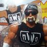 WWE Hulk Hogan Superstars Action Figure Image 2