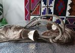 Curtain tie backs 2x