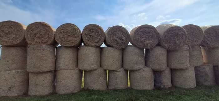 Round bales Hay
