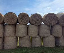 Round bales Hay