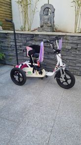 kids trike