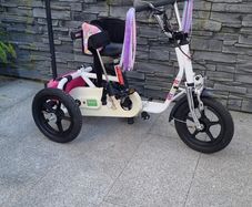 kids trike
