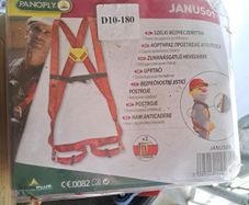 Safety harness and lanyard