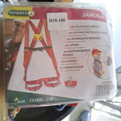 Safety harness and lanyard