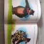 Hugless Douglas and the big sleep. David Melling. Children kid's book's Image 3