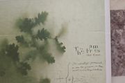 The Frames CD - The Cost