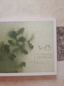 The Frames CD - The Cost