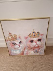 Cat picture