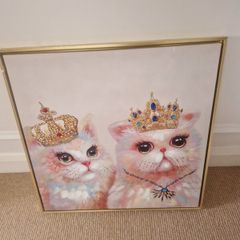 Cat picture