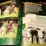 2014. The Official Celtic Annual. Image 4