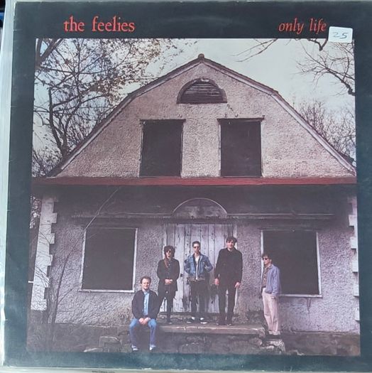 The Feelies Lps
