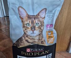 Cat food 10kg