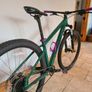 Specialized Rockhopper 29er Image 2
