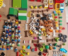 Large Duplo Bundle