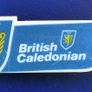 BRITISH CALEDONIAN airways - junior wings plastic badge (1970's/1980's). Scarce badge. Image 2