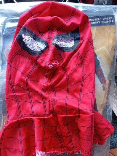 Spiderman costume