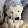 Big Dog Teddy Image 2