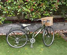 womens bike