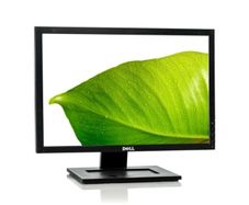 Dell 20" Flat Panel Monitor