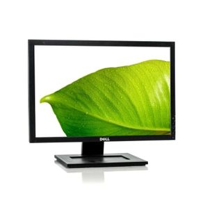 Dell 20" Flat Panel Monitor