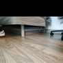 FRAME ONLY of Classic Ikea (Queen/King) Sofa bed Image 10