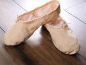 Ballet Dance Dancing Shoes FREE SHIPPING