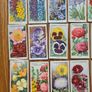 Vintage Cigarette cards Image 7