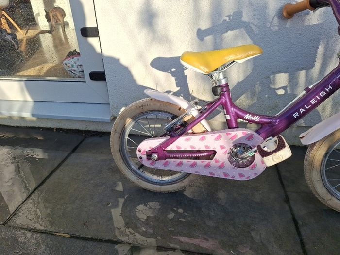 Raleigh Molli 14"