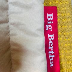 Big Bertha Bean Bag