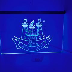 dublin gaa light